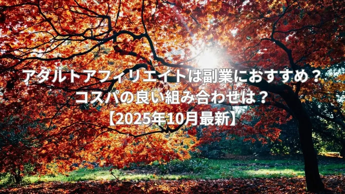 アダルトアフィリエイトは副業におすすめ？コスパの良い組み合わせは？【2025年10月最新】