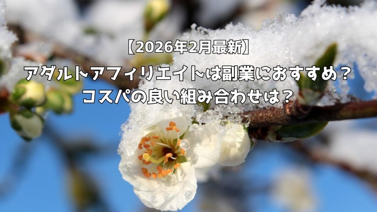 アダルトアフィリエイトは副業におすすめ？コスパの良い組み合わせは？【2026年2月最新】