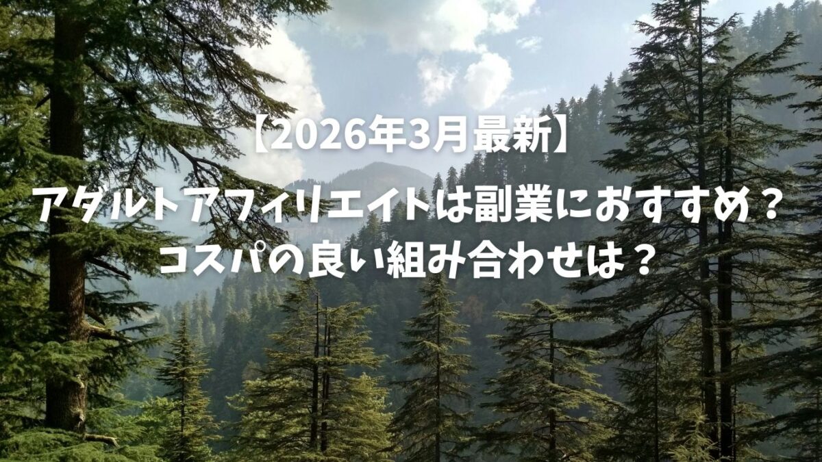 アダルトアフィリエイトは副業におすすめ？コスパの良い組み合わせは？【2026年3月最新】